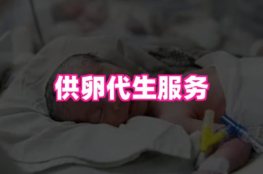 gfg孕网 1